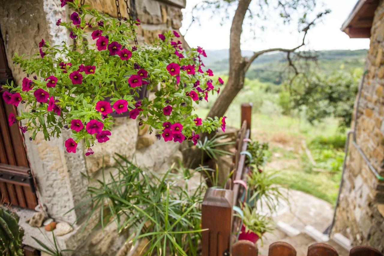 Maison d'hôtes Cozy Istrian House à Izola Extérieur photo
