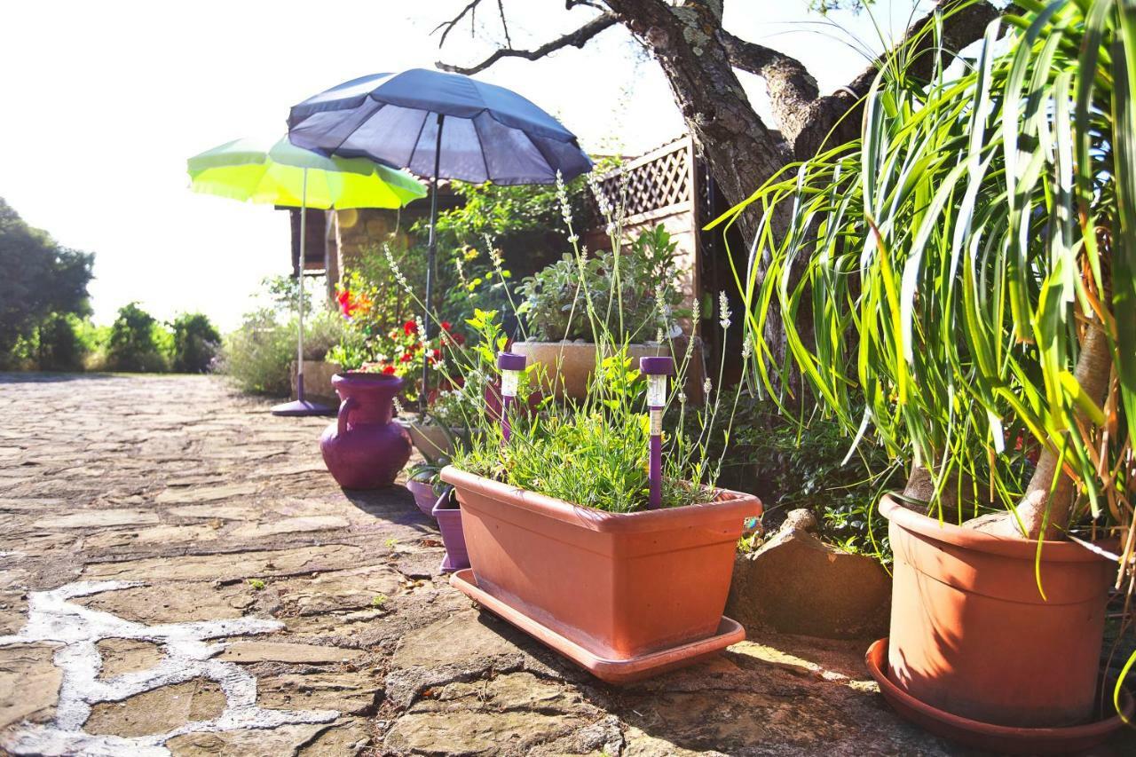 Maison d'hôtes Cozy Istrian House à Izola Extérieur photo